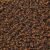 Desert Brown